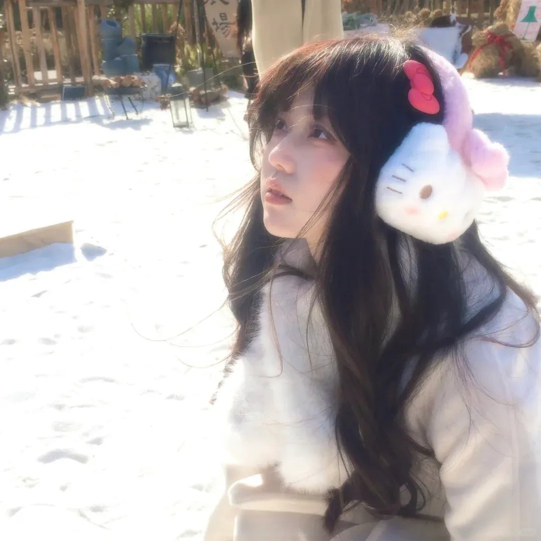 八面修罗之凤凰雪